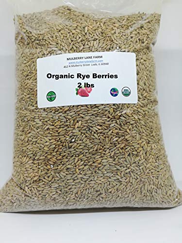 Rye Berries, 2 Pounds USDA Certified Organic, Non-GMO Bulk