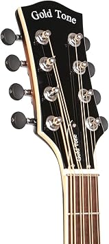 Gold Tone Mandocello: Mandocello with Pickup and Case