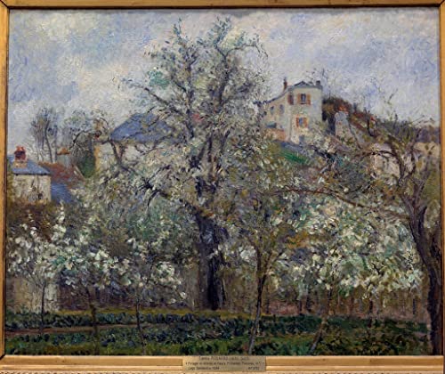 Affiche Potager et arbres en fleurs Pissarro toile 60x90cm