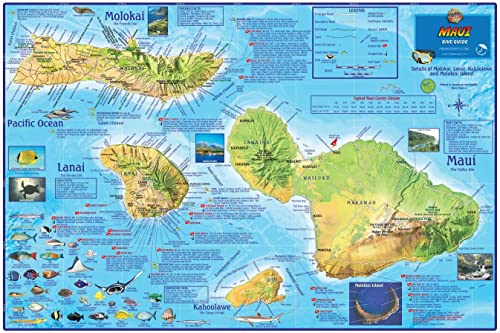 Poster Maui plastifié de plongée haute définition avec finitions - 4