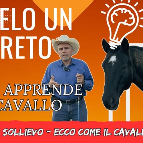 # 156 - Rilascio o sollievo - come il cavallo impara