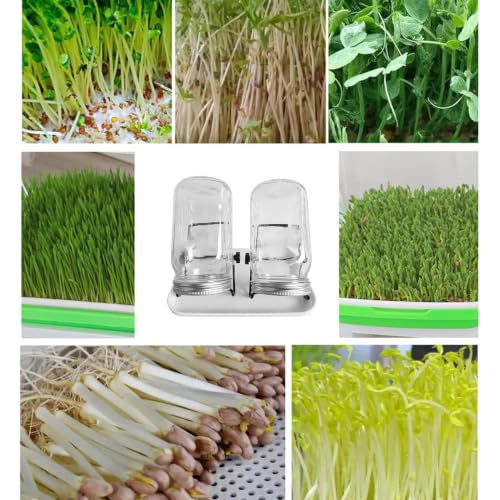 Tarro de germinación de brotes sin moho para aficionados a la salud 5