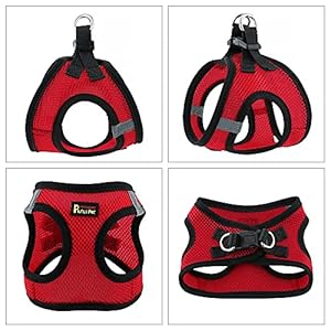 Plutus Pet Step-in Dog Harness, Adjustable Reflective Soft Dog Harness, Breathable Dog Vest Harness for Cats Puppy and Small Medium Dogs(M, Red)