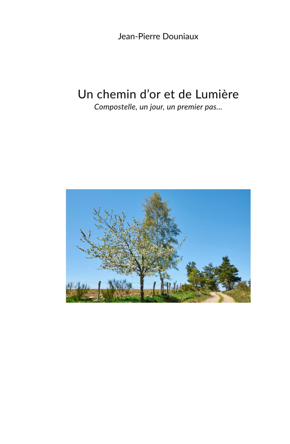 Un chemin d'or et de Lumière: Compostelle, un jour, un premier pas…