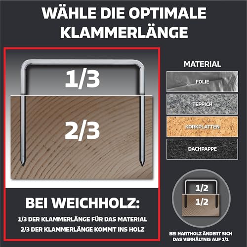 Canzler CHT-7 Hammertacker mit Klammern - schützender Prallplatte und Schnellladesystem - Schlagtacker inkl. 1000 Stück 12mm Klammern