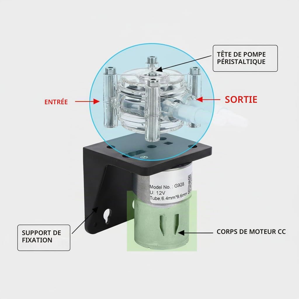 Pompe Péristaltique à Grand Débit G928, 12V, Tête PC Transparente, 500ml/min, Tube Silicone Alimentaire, 3 Rouleaux en Acier Inoxydable 304