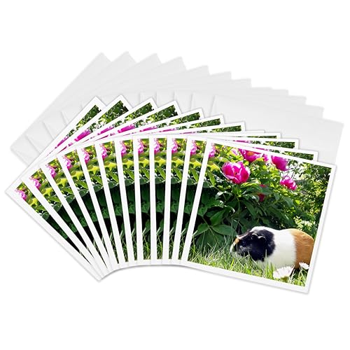 Cartes de vœux cochon d'Inde 3dRose pivoines, lot de 12 invitations originales pour offrir