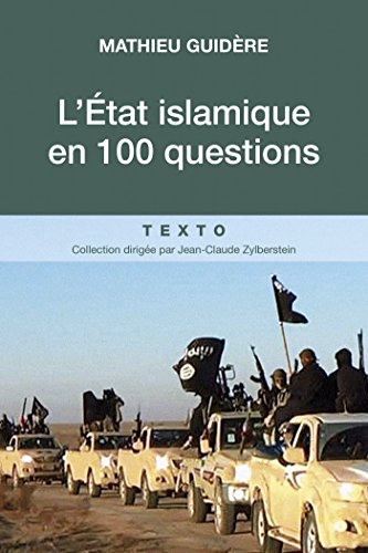Télécharger L'État islamique en 100 questions Gratuit