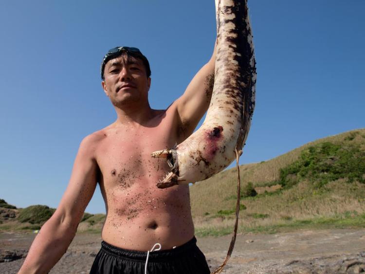 TOKYOグルメブック　全５巻 企画集団ÉDO　高橋幹夫 著　柴田書店発行 TOKYOグルメブック 全5巻 企画集団ÉDO 高橋幹夫 著 柴田書店発行