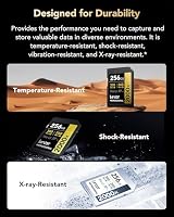 Lexar Professional 2000x SD Karte 256GB, SDXC UHS-II Speicherkarte ohne Lesegerät, Bis Zu 300MB/s Lesen, Class 10, U3, V90 SD Speicherkarte für DSLR, Videokameras in Kinoqualität (LSD2000256G-BNNNG) – Ansicht 7