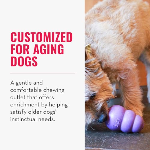 image for KONG Senior - Dog Toy with Gentle, Natural Rubber - Durable Dog Toy fo