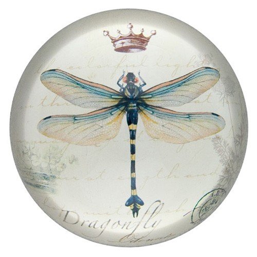 World Buyers Nature Under Glass Paperweights (Crowned Dragonfly) #TOP9