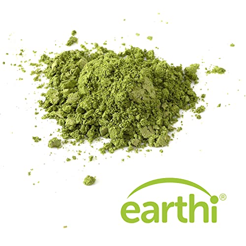 Earthi Ultimate Mushroom Supplement, Powder Blend Of Organic Reishi, Lion's Mane, Cordyceps, Chaga, Turkey Tail & Maitake Mushrooms, Focus Supplement, Immune & Wellness Support, 60G #TOP4