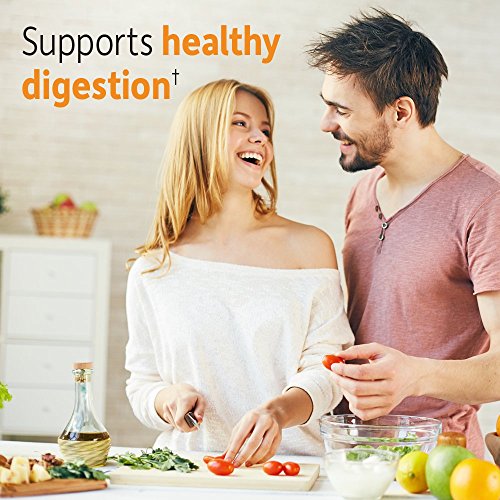 Garden of Life Dr Formulated Organic Fiber Supplement Powder Citrus, Sugar Free, Psyllium Free Prebiotic Superfoods, Constipation Relief and Hunger Control for Men and Women, 32 Servings - Image 4