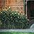Skcoipsra Decorative Garden Fence 10 Pack, 22in(H) x 10ft(L) Animal Barrier Fence, Rustproof Metal Fencing for Yard, Dog Rabbits Wire Section Garden Edging Border for Yard Patio Garden, Arched