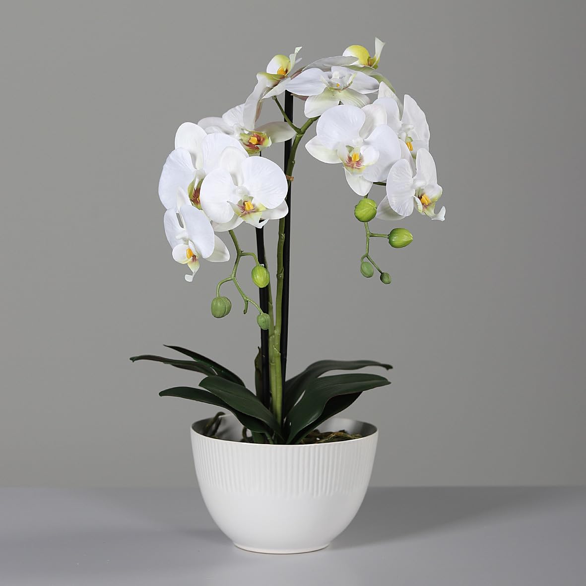 DPI künstliche Orchidee REAL Touch weiß in Keramiktopf H. 48cm Kunstblumen