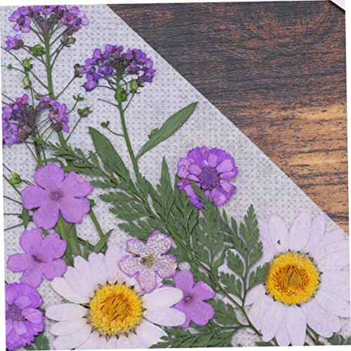 Sewroro 1 Conjunto De Adesivos De Flores Secas Prensadas Para Unhas Marcador Floral Flores Secas Unh