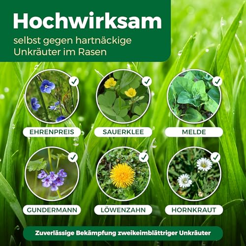 PROTECT GARDEN Universal-Rasenunkrautfrei Loredo Quattro Rasen-Unkrautvernichter gegen hartnäckige Unkräuter mit 4-fach Wirkung, 400 ml – Ansicht 3