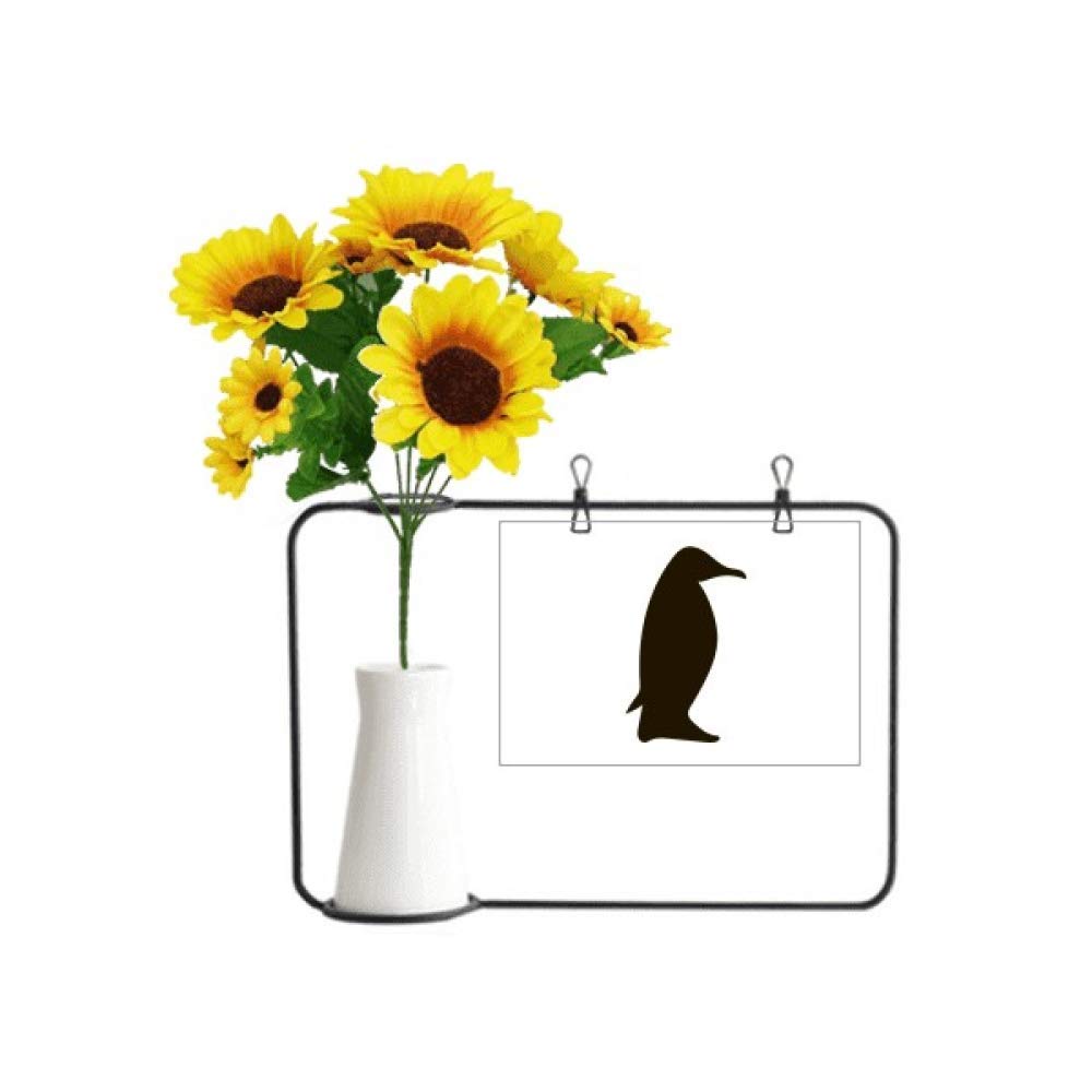 Pingouin en peluche noir et sa carte de bénédiction Beauty Gift : le cadeau réconfortant