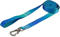 Coleira Guia 10 Metros Para Cães Cachorro Adestramento Passeio Porte Grande Médio Pequeno (Lake, G)