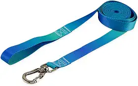 Coleira Guia 10 Metros Para Cães Cachorro Adestramento Passeio Porte Grande Médio Pequeno (Lake, G)