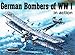 German Bombers of WWI in action - Aircraft No. 173