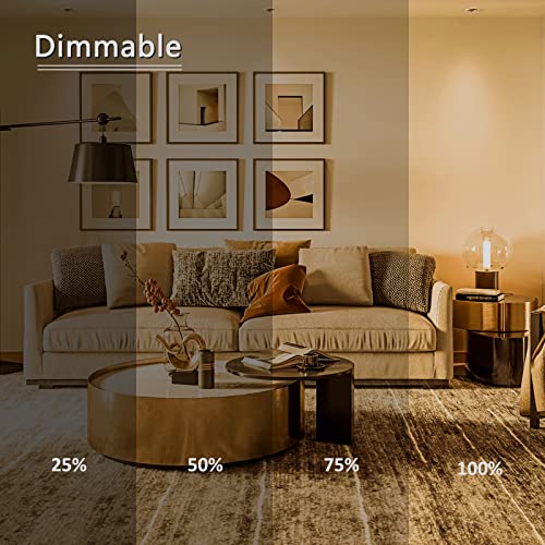 2 Stück Backofenlampe G45 E14, Dimmbar 2700K Warmweiße Herd-birne, 410 Lumen, 78MM * 45MM, AC 240V, Bis 300°C Hitzebeständiges, P45 Globe Klar Lampen für Ofen, Lava Lampe