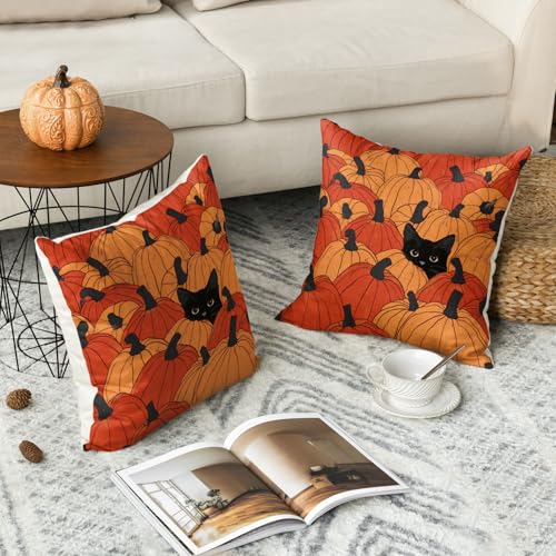 Coussin automne chat noir pour une déco de ferme chaleureuse