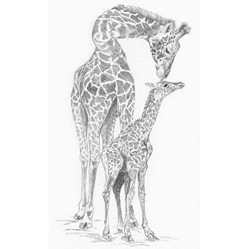 Royal Brush Sketching Made Easy Kit, 9-Inch by 12-Inch, Giraffe and Baby