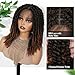 Fancy Hair Full Lace Short Passion Twist Wig with Baby Hair Lace Front Knotless Braided Twist Wig for Black Women (Ombre Brown)