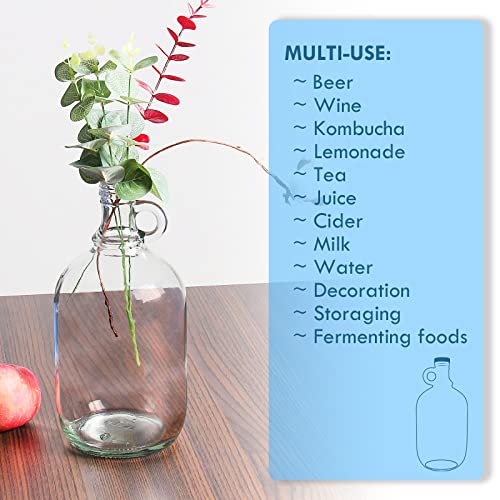 Desiyue 2 Pack 64Oz Glass Gallon Jugs With Handle And Black Plastic Lids, Half-Gallon, Glass Water Bottles, Glass Water Jug For Kombucha, Home Brew, Vanilla Extract, Beer, Soda, Milk, Cider (Clear) #TOP5