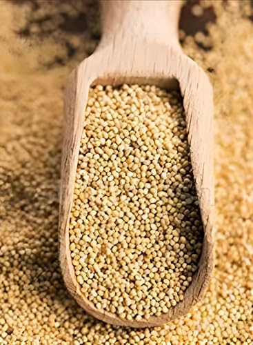 Image of Dhanyashray Poppy seeds (Khas Khas) 1 Kg| Indian Posta Dana | Khus Khus | Pure white Posto Dana for eating