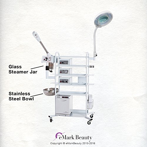 Patented Microdermabrasion Liscense Number 6,241,71813 in 1 T4DW Cart Multifunction Facial Machine Ozone Aromatherapy Glass Jar Steamer Flexible Magnifying Lamp. ON ALL WARRANTY WORK.