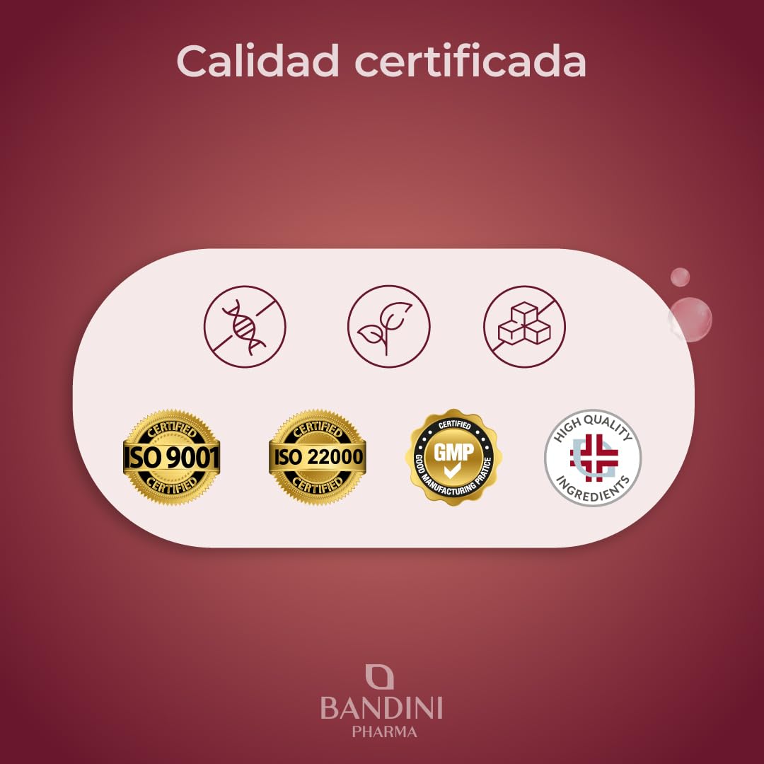 Bandini® Reishi hongo 270 comprimidos | Equivalentes de 16.900 mg (13:1) | 40% de polisacáridos | Extracto de Ganoderma Lucidum | Para +4 meses | Complemento alimenticio puro 100% Vegano y Natural