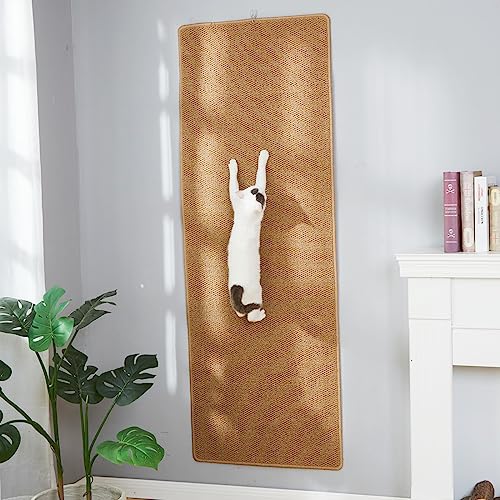 Cat Climbing Wall The 15 best products compared Wild Explained