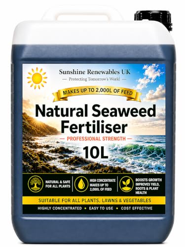 10L Premium Liquid Seaweed Fertiliser (1:200 Concentrate) Organic Plant Feed for Stronger Roots Greener Leaves & Healthier Growth Lawn Vegetables & Flowers - Dilutes up to 2 000L.