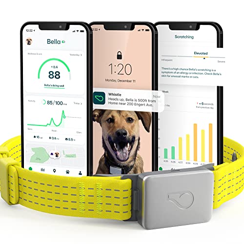 Fi Dog Tracker Les 15 meilleurs produits comparés Wild Explained