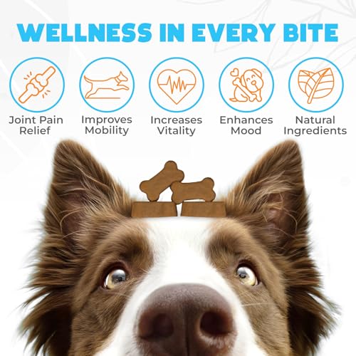 Glucosamine HCL & Hip and Joint Chews for Dogs - 150 pcs - Advanced Hip and Joint Support for Senior Dogs -With MSM & Green Lipped Mussel - Chicken - Image 3