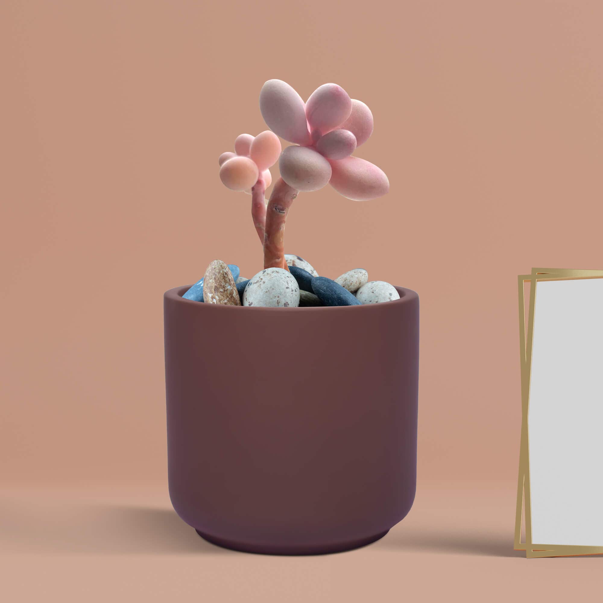 Lasaki Zeno truffle Ceramic Pots for Indoor Plants, Planters, Flower, Pots, gamla, Outdoor, Balcony, Home, Garden, Office Decor, Succulent Pot(H - 9 X D - 9 cm)(Plants not included) (B09V1S15G2) Amazon Price History, Amazon Price Tracker