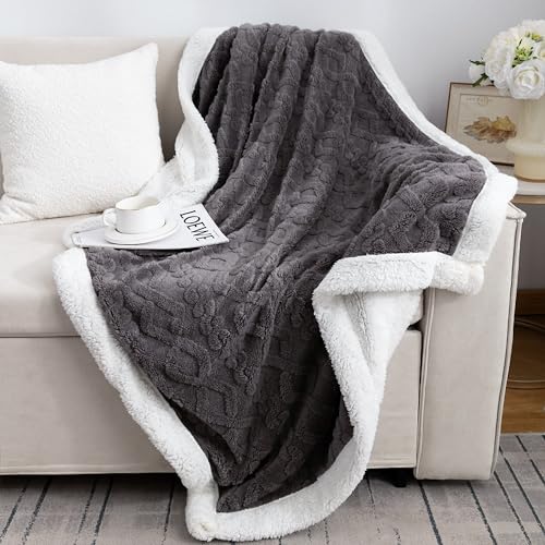 QOFLY Manta Gruesa y mullida, Color Rosa, 100 x 150 cm, Manta Extra cálida para el Invierno como Manta de sofá, Manta pequeña de Forro Polar Sherpa de