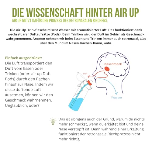 Pods Air Up Mocktails Probierpaket - Virgin Mojito, Virgin Colada, Virgin Erdbeer-Daiquiri - Geschmack Aroma Duft Pod Set für Airup Flasche 15L Wasser Zucker-Kalorienfreier Geschmack nur durch Duft