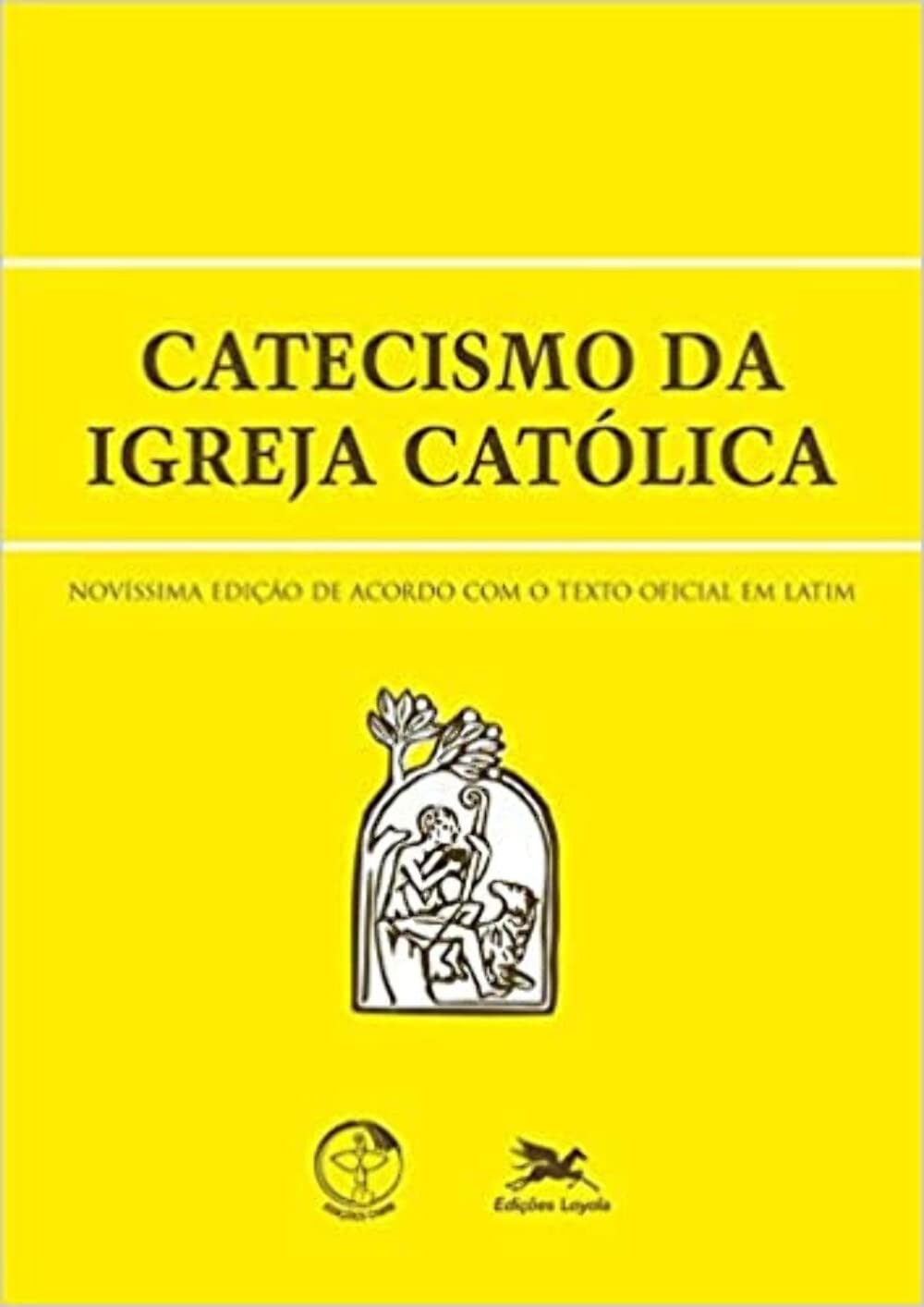 Amazon.com: Catecismo da Igreja Católica (Em Portuguese do Brasil):  9788515030484: Conferência Nacional dos Bispos do Brasil CNBB: Books