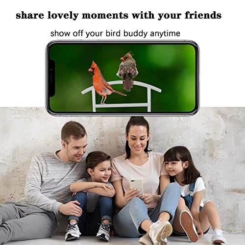 Smart Bird Feeder Camera With Solar Powered, Bird Feeder With Camera Wireless Outdoor, Ai Identify Bird Species, 1080P Hd, App Connection, Ip65 Waterproof, Free 64G Tf Card #TOP5