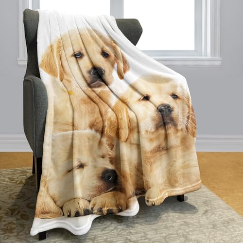 YISUMEI Decke 150x200 cm Kuscheldecken Sanft Flanell Weich Fleecedecke Bettüberwurf Golden Retriever Welpen