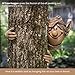 Bits and Pieces - Elf Tree Hugger - Yard Decorations - Whimsical Tree Sculpture - Garden Decoration - Garden Peeker Yard Art