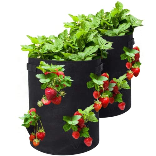Strawberry Grow Bags, 2 Pack Strawberry Planter with Holes Grow Pockets, Breathable Non-Woven Fabric Reinforce Handle Plant Grow Bag for Garden Strawberries, Herbs, Flowers (3 Holes - 5 Gallon)