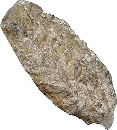 Cascade Fulda Fels, Beige/Brun, 50 x 38 x 9 cm — vue 3