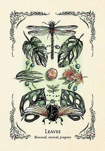 The Green Witch's Oracle Deck: Embrace the Wisdom and Insight of Natural Magic (Green Witch Witchcraft Series) - Image 10