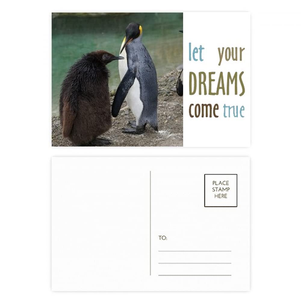 Cartes postales pingouin Antarctique et nature Dream Come True lot de 20 pour correspondance