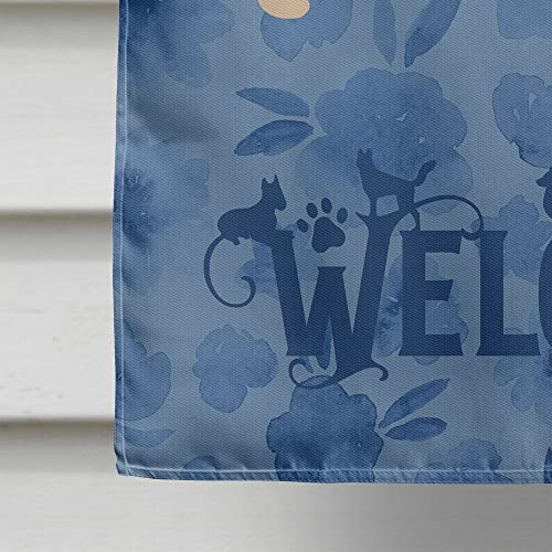 Drapeau Chihuahua multicolore grand format Caroline's Treasures